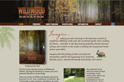 Websites